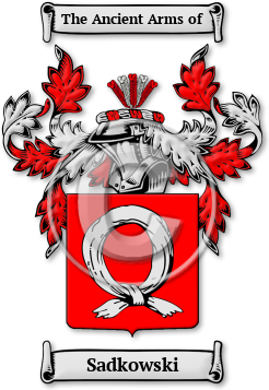 Sadkowski Family Crest Download (jpg) Legacy Series - 150 DPI