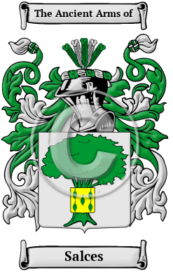 Salces Family Crest/Coat of Arms