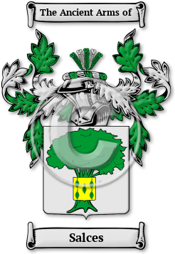 Salces Family Crest Download (jpg) Legacy Series - 150 DPI