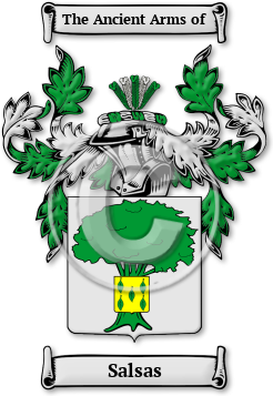 Salsas Family Crest Download (JPG) Legacy Series - 600 DPI