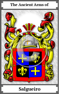 Salgueiro Family Crest Download (JPG) Book Plated - 600 DPI