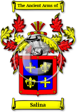 Salina Family Crest Download (jpg) Legacy Series - 150 DPI