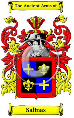 Salinas Family Crest/Coat of Arms