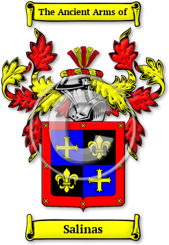 Salinas Family Crest Download (jpg) Legacy Series - 150 DPI