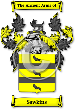 Sawkins Family Crest Download (jpg) Legacy Series - 150 DPI