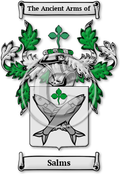Salms Family Crest Download (JPG) Legacy Series - 600 DPI