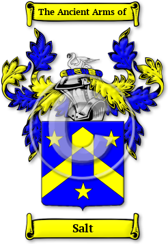 Salt Family Crest Download (jpg) Legacy Series - 150 DPI