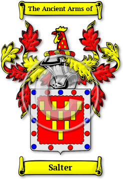 Salter Family Crest Download (jpg) Legacy Series - 150 DPI