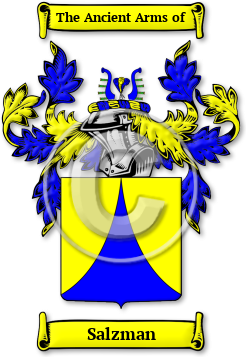 Salzman Family Crest Download (JPG) Legacy Series - 600 DPI