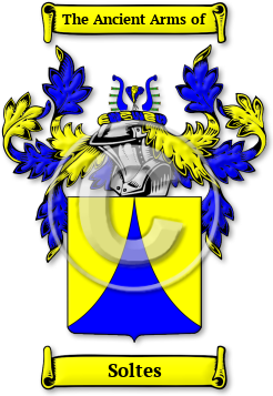 Soltes Family Crest Download (jpg) Legacy Series - 150 DPI