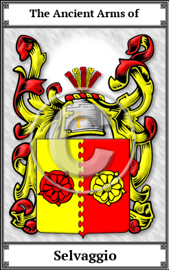 Selvaggio Family Crest Download (JPG)  Book Plated - 150 DPI