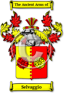 Selvaggio Family Crest Download (jpg) Legacy Series - 150 DPI