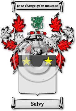 Selvy Family Crest Download (jpg) Legacy Series - 150 DPI