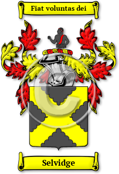 Selvidge Family Crest Download (jpg) Legacy Series - 150 DPI