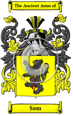 Sam Family Crest Download (JPG) Heritage Series - 600 DPI