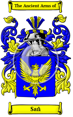 Sañ Family Crest/Coat of Arms