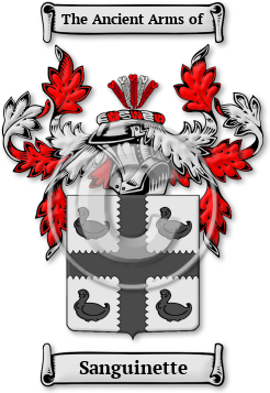 Sanguinette Family Crest Download (jpg) Legacy Series - 150 DPI