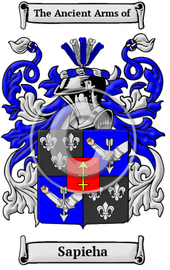 Sapieha Family Crest Download (JPG) Heritage Series - 600 DPI