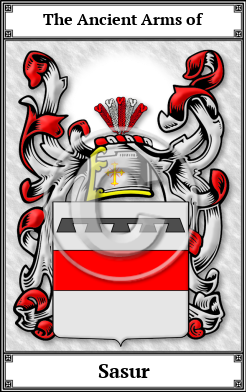 Sasur Family Crest Download (JPG)  Book Plated - 150 DPI