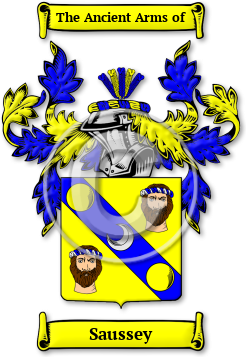 Saussey Family Crest Download (jpg) Legacy Series - 150 DPI