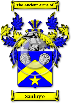 Saulny'e Family Crest Download (jpg) Legacy Series - 150 DPI