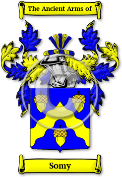 Somy Family Crest Download (jpg) Legacy Series - 150 DPI