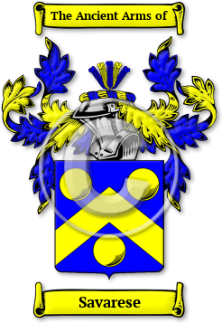Savarese Family Crest Download (jpg) Legacy Series - 150 DPI