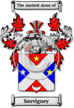 Sauvigney Family Crest Download (JPG) Legacy Series - 600 DPI