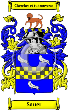 Sauer Family Crest Download (JPG) Heritage Series - 600 DPI