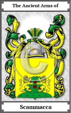 Scammacca Family Crest Download (JPG)  Book Plated - 150 DPI