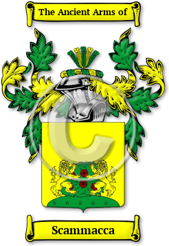 Scammacca Family Crest Download (jpg) Legacy Series - 150 DPI