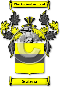 Scatena Family Crest Download (jpg) Legacy Series - 150 DPI
