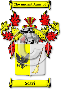 Scavi Family Crest Download (jpg) Legacy Series - 150 DPI