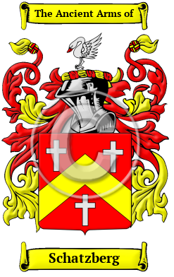 Schatzberg Family Crest Download (JPG) Heritage Series - 600 DPI