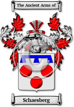 Schaesberg Family Crest Download (jpg) Legacy Series - 150 DPI