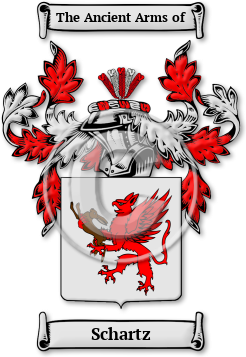 Schartz Family Crest Download (jpg) Legacy Series - 150 DPI