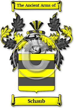 Schaub Family Crest Download (jpg) Legacy Series - 150 DPI
