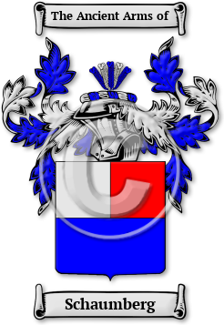 Schaumberg Family Crest Download (jpg) Legacy Series - 150 DPI