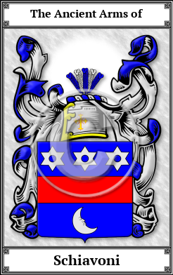 Schiavoni Family Crest Download (JPG)  Book Plated - 150 DPI