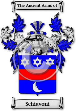 Schiavoni Family Crest Download (jpg) Legacy Series - 150 DPI