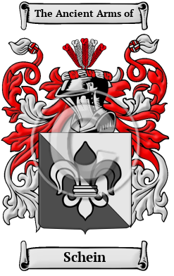 Schein Family Crest Download (JPG) Heritage Series - 600 DPI