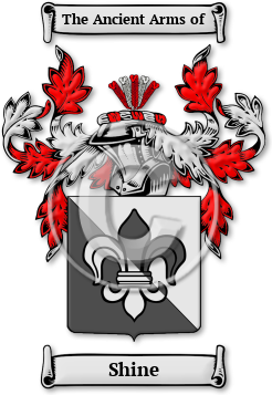 Shine Family Crest Download (JPG) Legacy Series - 300 DPI