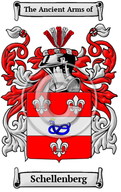 Schellenberg Family Crest/Coat of Arms
