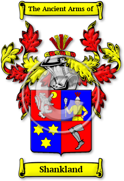 Shankland Family Crest Download (jpg) Legacy Series - 150 DPI