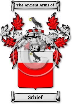 Schief Family Crest Download (jpg) Legacy Series - 150 DPI