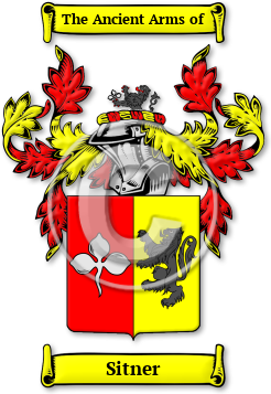 Sitner Family Crest Download (jpg) Legacy Series - 150 DPI