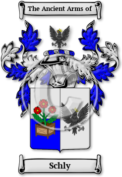 Schly Family Crest Download (JPG) Legacy Series - 600 DPI