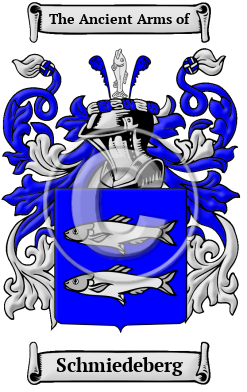 Schmiedeberg Family Crest Download (JPG) Heritage Series - 600 DPI