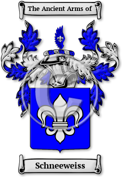 Schneeweiss Family Crest Download (jpg) Legacy Series - 150 DPI