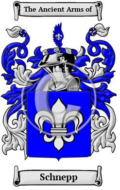 Schnepp Family Crest/Coat of Arms